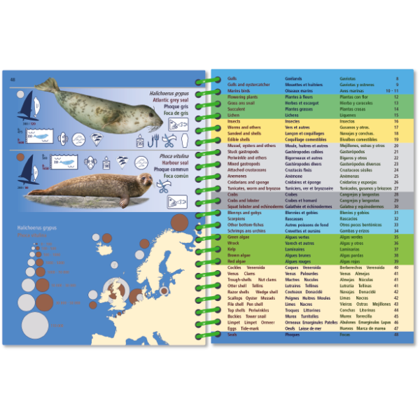 The "Pictolife Low-Tide Eastern Atlantic" by Pictolife Marine Guides is a waterproof, spiral-bound book that displays images and diagrams of a seal species on the left page, complemented by a detailed index on the right. It features a background map that serves as an Eastern Atlantic guide and highlights specific geographical regions in Europe.