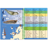 The "Pictolife Low-Tide Eastern Atlantic" by Pictolife Marine Guides is a waterproof, spiral-bound book that displays images and diagrams of a seal species on the left page, complemented by a detailed index on the right. It features a background map that serves as an Eastern Atlantic guide and highlights specific geographical regions in Europe.