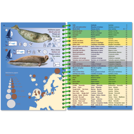 The "Pictolife Low-Tide Eastern Atlantic" by Pictolife Marine Guides is a waterproof, spiral-bound book that displays images and diagrams of a seal species on the left page, complemented by a detailed index on the right. It features a background map that serves as an Eastern Atlantic guide and highlights specific geographical regions in Europe.