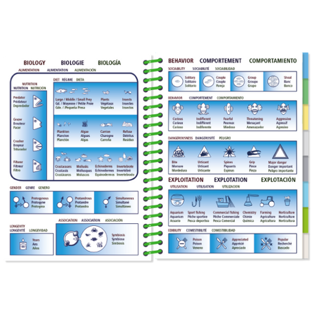 The "Pictolife Low-Tide Eastern Atlantic" guide by Pictolife Marine Guides is an illustrated manual that explores biology and behavior, featuring diagrams in English, French, and Spanish. It covers aspects such as diet, height, weight, and reproduction and includes icons for various traits—all conveniently packed into a waterproof book for your next adventure.