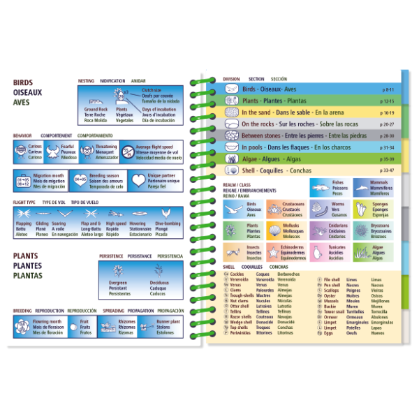 The Pictolife Low-Tide Eastern Atlantic guide by Pictolife Marine Guides features a waterproof design with an open spiral-bound layout. It includes vibrant color-coded sections on birds and plants in English, French, and Spanish. The left pages provide details on nesting and feeding habits, while the right pages highlight diverse habitats and species using intuitive icons.