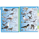 The "Pictolife Low-Tide Eastern Atlantic" by Pictolife Marine Guides is an illustrated gem for tide pool enthusiasts, featuring gull and shorebird species with labeled features such as wing patterns and beak shapes. This waterproof guidebook is designed with a blue background and a green spiral binding, also incorporating illustrations of eggs and feet for easy identification.