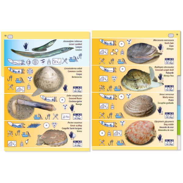 The "Pictolife Low-Tide Eastern Atlantic" educational poster by Pictolife Marine Guides showcases images and names of various shellfish and eels, along with icons for boiling, steaming, and frying methods. It is set against a vibrant yellow and blue background.