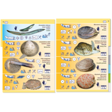 The "Pictolife Low-Tide Eastern Atlantic" educational poster by Pictolife Marine Guides showcases images and names of various shellfish and eels, along with icons for boiling, steaming, and frying methods. It is set against a vibrant yellow and blue background.