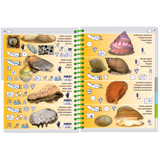 The Pictolife Low-Tide Eastern Atlantic by Pictolife Marine Guides is an ideal guidebook for any tide pool detective, featuring various shell species with detailed images and icons for easy identification. Each waterproof page is crafted to endure your seaside adventures.