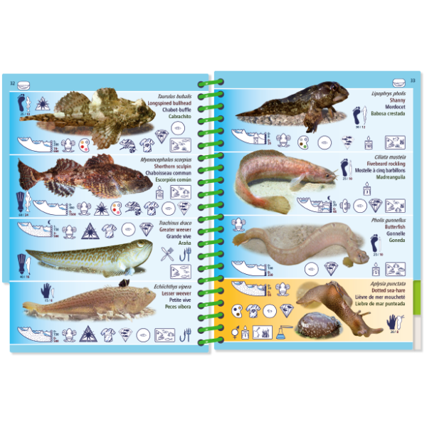 The Pictolife Low-Tide Eastern Atlantic by Pictolife Marine Guides is a waterproof guidebook filled with illustrations of fish species and their scientific names. It includes habitat icons and scale measurements for species like bullhead, stargazy, and puffer. The book features alternating blue and sand-colored backgrounds, making it an ideal companion for any tide pool explorer!