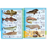 The Pictolife Low-Tide Eastern Atlantic by Pictolife Marine Guides is a waterproof guidebook filled with illustrations of fish species and their scientific names. It includes habitat icons and scale measurements for species like bullhead, stargazy, and puffer. The book features alternating blue and sand-colored backgrounds, making it an ideal companion for any tide pool explorer!