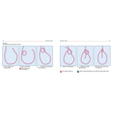 Fernhurst Books' "Knots & Splices" illustrates tying a bowline knot in four steps: pass the rope, make a loop, thread the end, and tighten. This technique is ideal for secure loops in ropework with firm tension when traditional knots or splicing aren't enough.