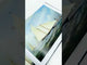 The Story of the America’s Cup 1851-2024