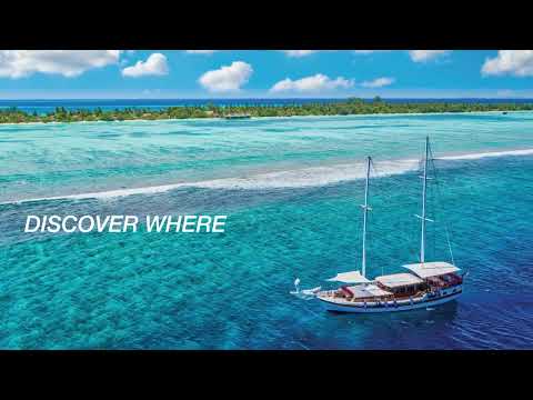 Ultimate Sailing Adventures