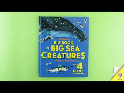 Big Book of Big Sea Creatures